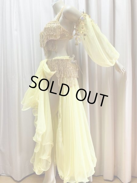 画像6: キャバレースタイル、フリンジブラベルト(スカート＆アーム付き） (6)