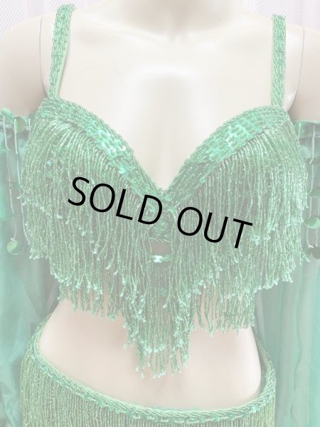 画像3: キャバレースタイル、フリンジブラベルト(スカート＆アーム付き） (3)