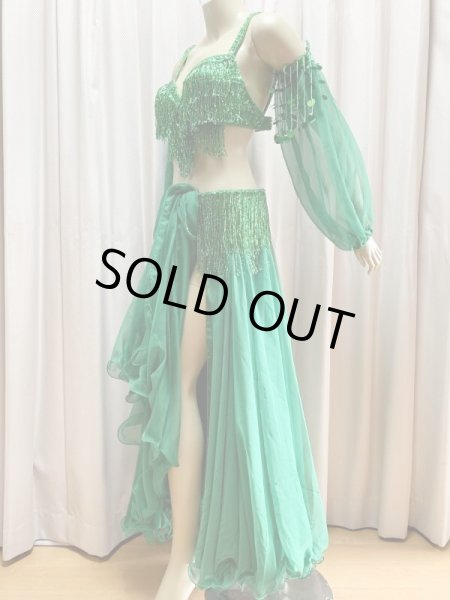 画像5: キャバレースタイル、フリンジブラベルト(スカート＆アーム付き） (5)