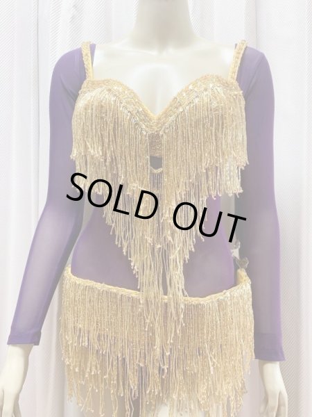 画像2: コスチューム用長袖ボディネット (2)