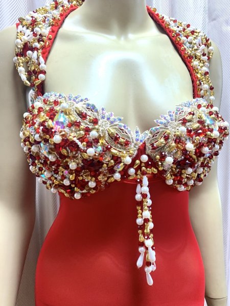 画像2: コスチューム用ボディネット (2)