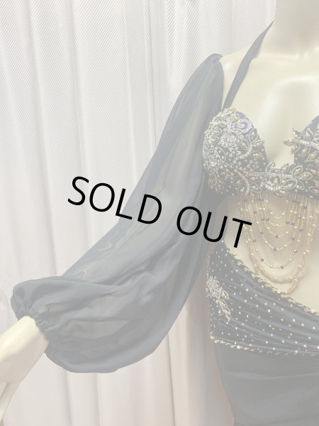 画像3: コスチューム用シフォンスリーブ (3)