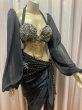 画像2: コスチューム用シフォンスリーブ (2)