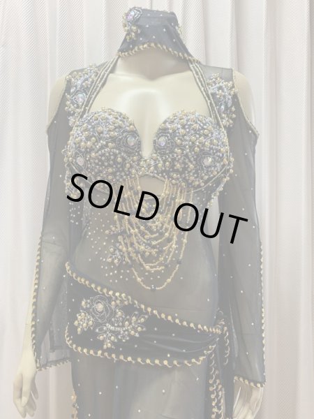 画像2: Hanine特注パワーネット生地バラディドレス (2)