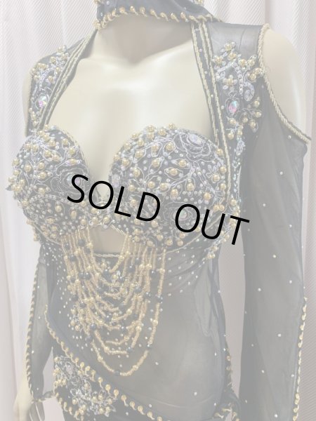 画像3: Hanine特注パワーネット生地バラディドレス (3)