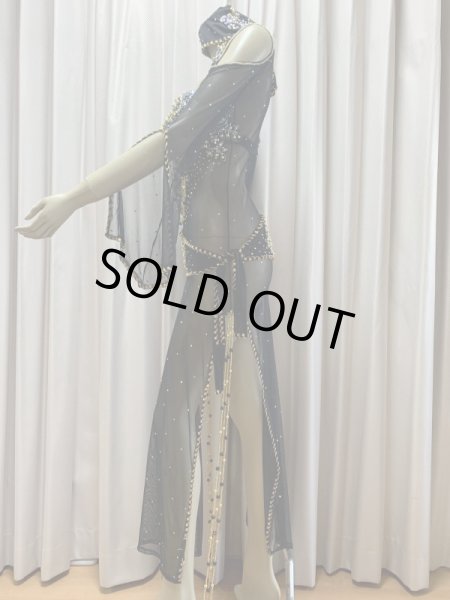 画像4: Hanine特注パワーネット生地バラディドレス (4)