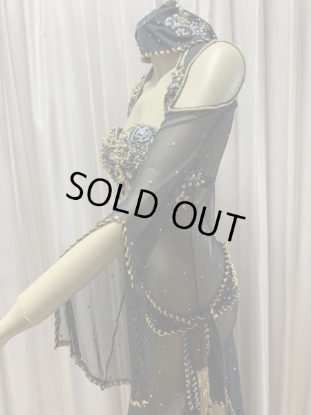 画像5: Hanine特注パワーネット生地バラディドレス (5)