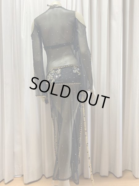 画像6: Hanine特注パワーネット生地バラディドレス (6)