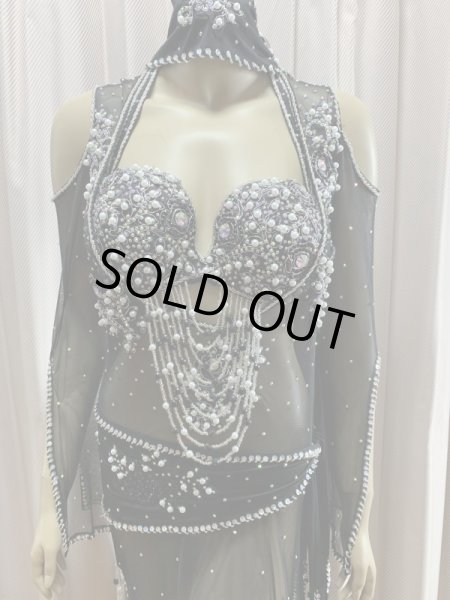 画像2: Hanine特注パワーネット生地バラディドレス (2)