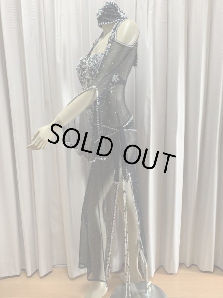 画像4: Hanine特注パワーネット生地バラディドレス (4)