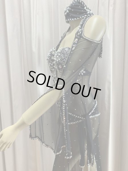 画像5: Hanine特注パワーネット生地バラディドレス (5)