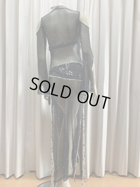 画像6: Hanine特注パワーネット生地バラディドレス (6)