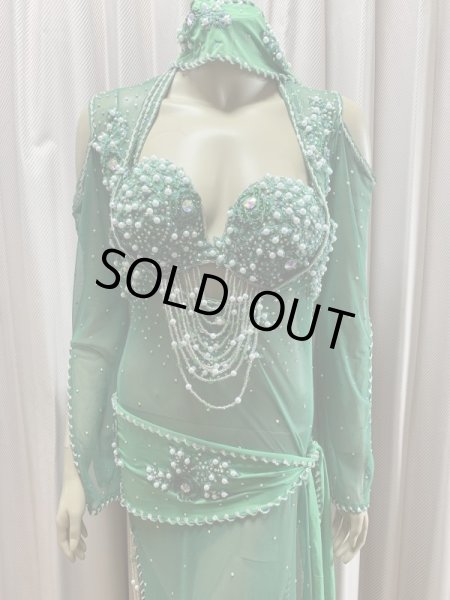 画像2: Hanine特注パワーネット生地バラディドレス (2)