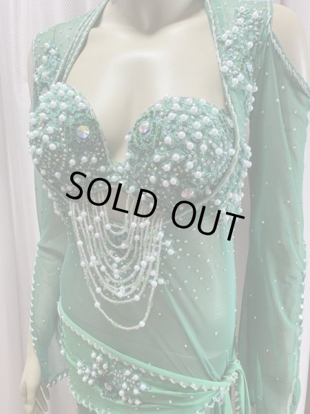 画像3: Hanine特注パワーネット生地バラディドレス (3)