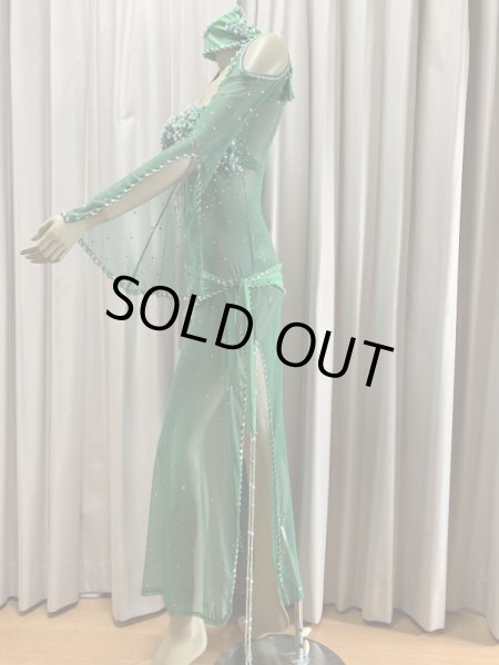 画像4: Hanine特注パワーネット生地バラディドレス (4)