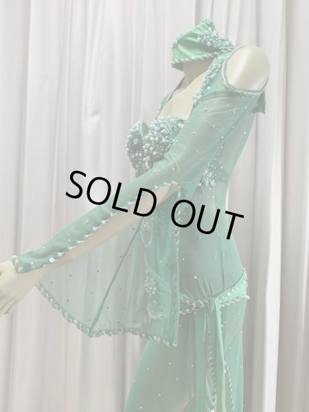 画像5: Hanine特注パワーネット生地バラディドレス (5)