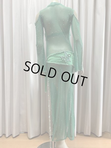 画像7: Hanine特注パワーネット生地バラディドレス (7)