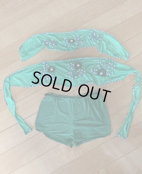 画像8: Hanine特注パワーネット生地バラディドレス (8)