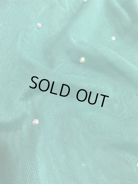 画像10: Hanine特注パワーネット生地バラディドレス (10)