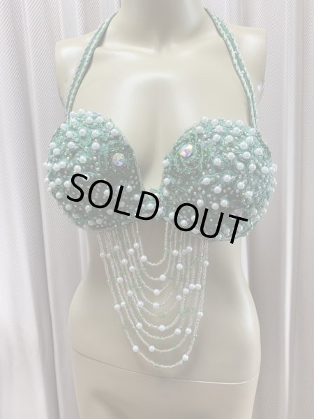 画像11: Hanine特注パワーネット生地バラディドレス (11)