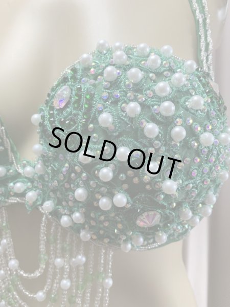 画像12: Hanine特注パワーネット生地バラディドレス (12)