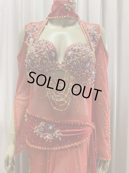 画像2: Hanine特注パワーネット生地バラディドレス (2)