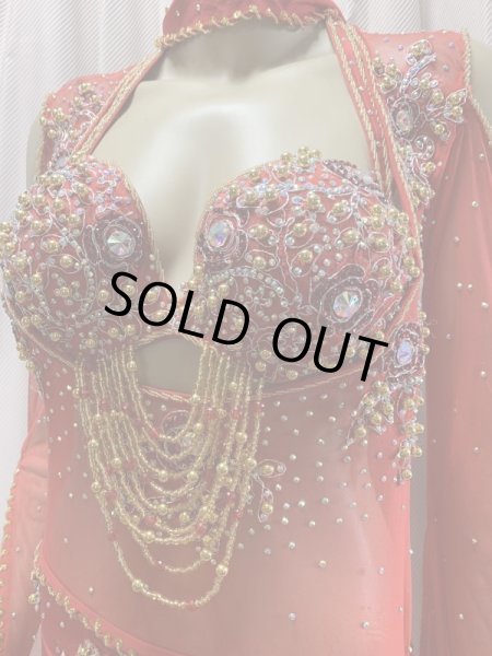 画像3: Hanine特注パワーネット生地バラディドレス (3)