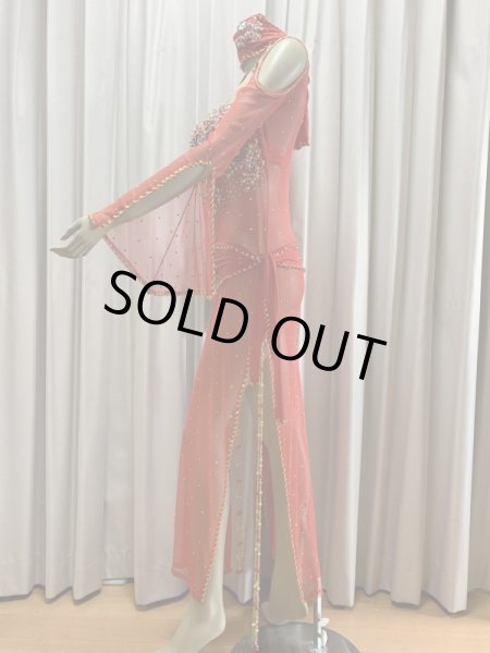 画像4: Hanine特注パワーネット生地バラディドレス (4)