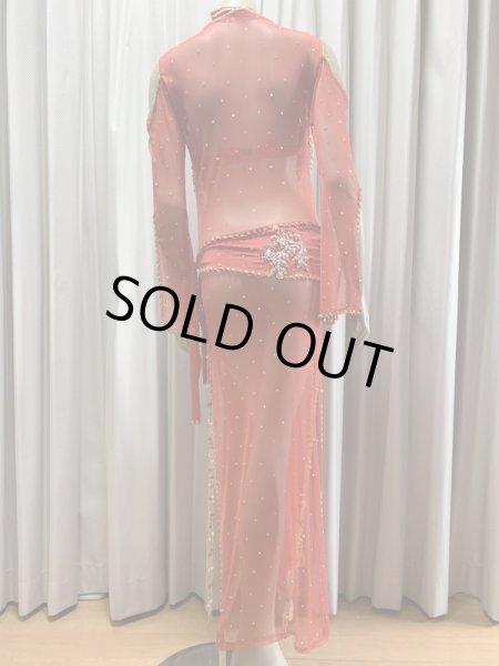 画像6: Hanine特注パワーネット生地バラディドレス (6)