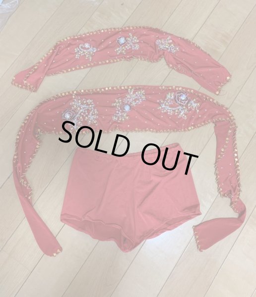 画像8: Hanine特注パワーネット生地バラディドレス (8)