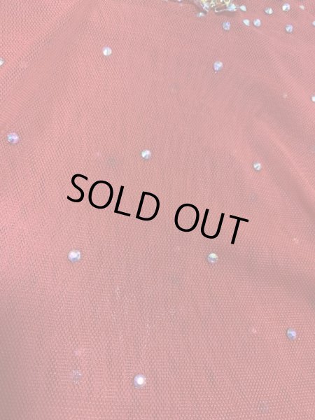 画像10: Hanine特注パワーネット生地バラディドレス (10)