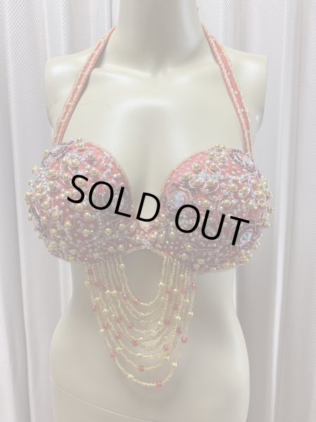 画像11: Hanine特注パワーネット生地バラディドレス (11)