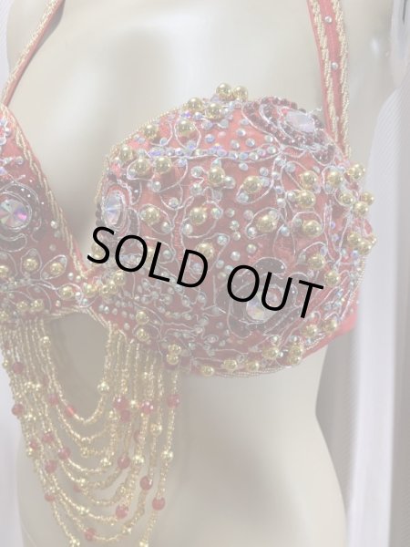 画像12: Hanine特注パワーネット生地バラディドレス (12)