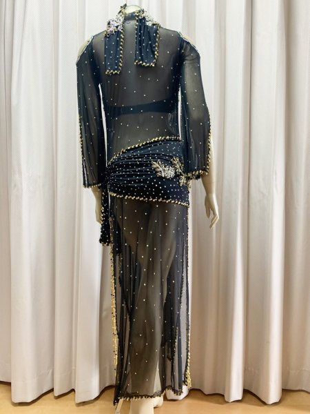 画像5: Hanine特注パワーネット生地バラディドレス (5)