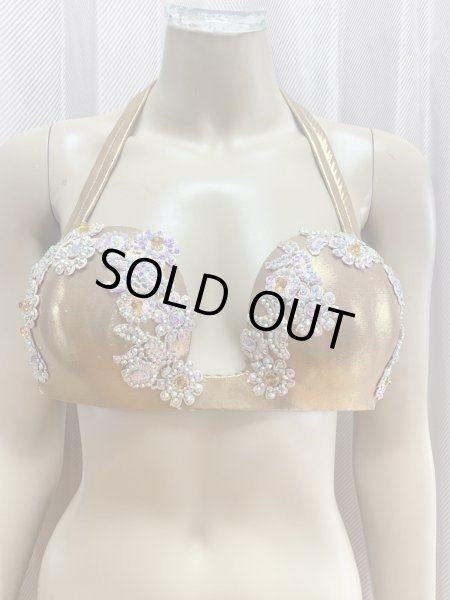 画像8: スパンコールバラディドレス（5点セット） (8)