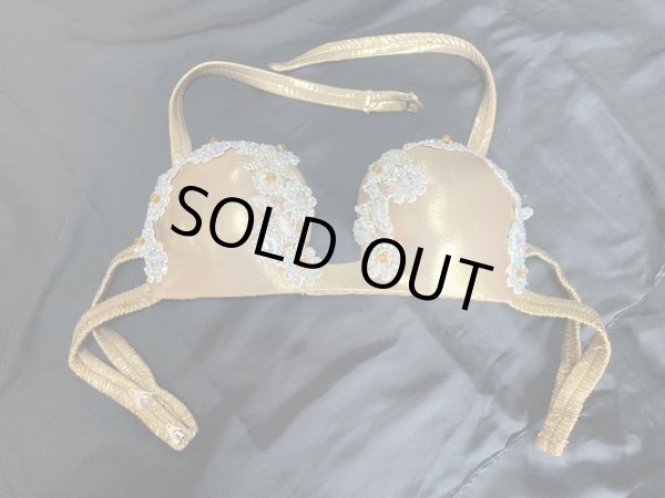 画像14: スパンコールバラディドレス（5点セット） (14)