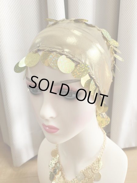 画像13: スパンコールバラディドレス（5点セット） (13)