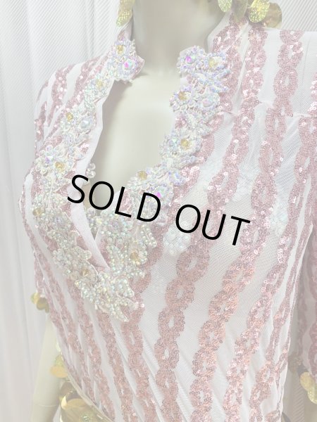 画像12: スパンコールバラディドレス（5点セット） (12)
