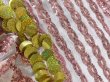画像14: スパンコールバラディドレス（5点セット） (14)