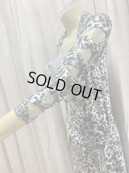 画像3: レオパード柄バラディドレス (3)