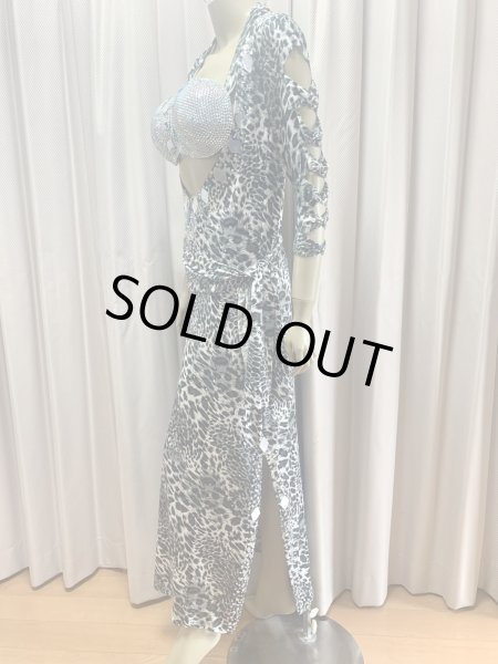 画像4: レオパード柄バラディドレス (4)