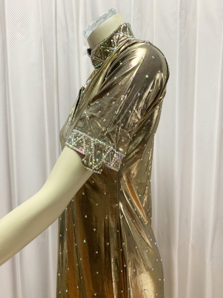 画像5: スタンドカラー・クリスタル付きバラディドレス (5)