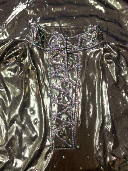 画像8: スタンドカラー・クリスタル付きバラディドレス (8)