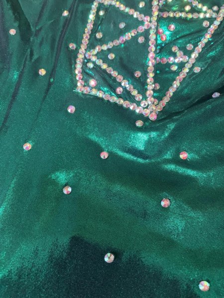 画像9: スタンドカラー・クリスタル付きバラディドレス (9)