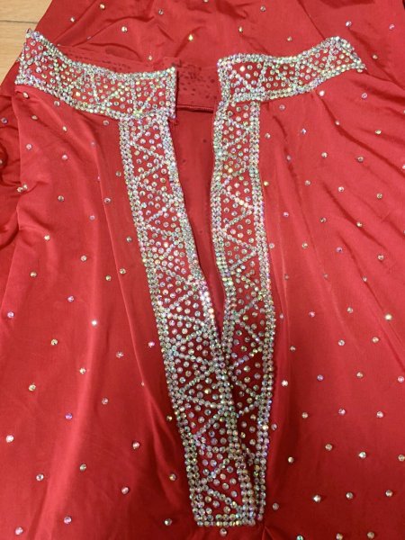 画像6: スタンドカラー・クリスタル付きバラディドレス(長袖） (6)