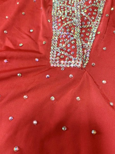 画像7: スタンドカラー・クリスタル付きバラディドレス(長袖） (7)