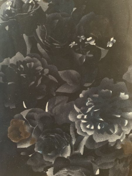 画像5: 柄プリントレギンス（フリーサイズ）単品郵送OK (5)