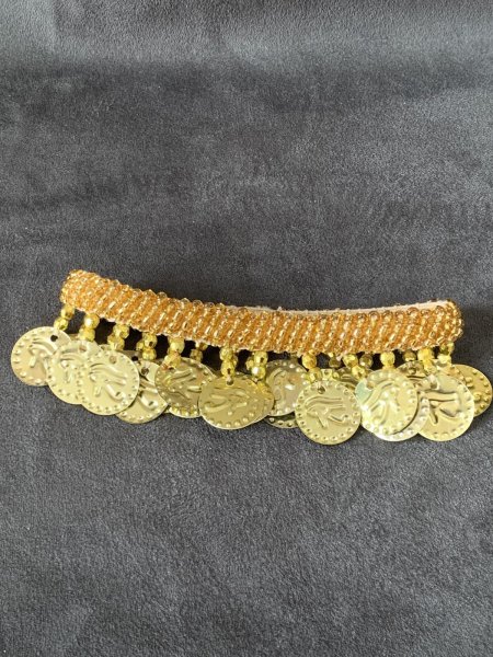 画像5: コイン付きアンクルバンド (5)