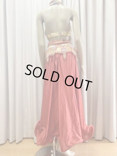 画像8: ゴールデンエラスタイル・ブラベルトコスチューム(スカート、アーム、ヘッドアクセ付き） (8)