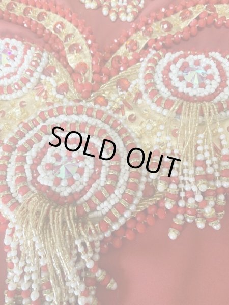 画像10: ゴールデンエラスタイル・ブラベルトコスチューム(スカート、アーム、ヘッドアクセ付き） (10)